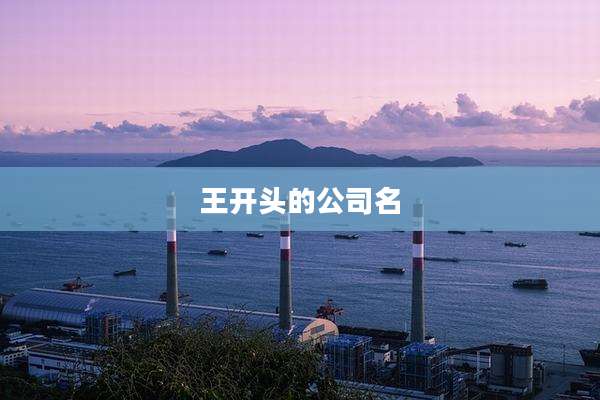 王开头的公司名