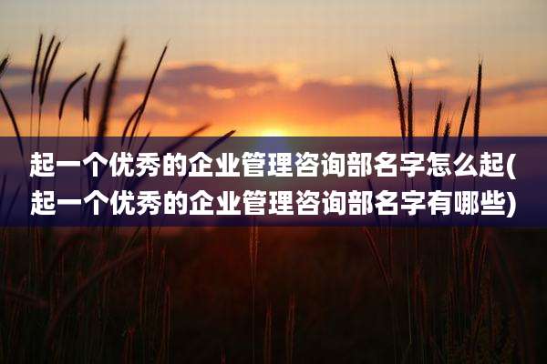 起一个优秀的企业管理咨询部名字怎么起(起一个优秀的企业管理咨询部名字有哪些)