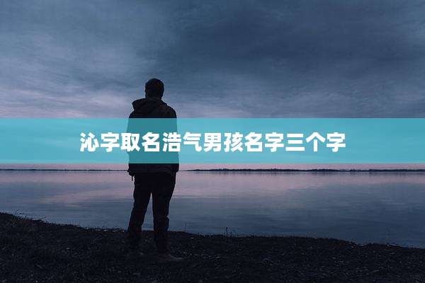 沁字取名浩气男孩名字三个字