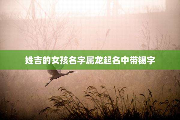 姓吉的女孩名字属龙起名中带锡字