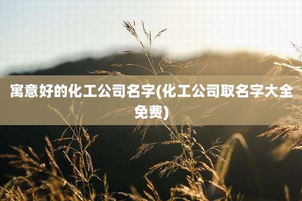 寓意好的化工公司名字(化工公司取名字大全免费)