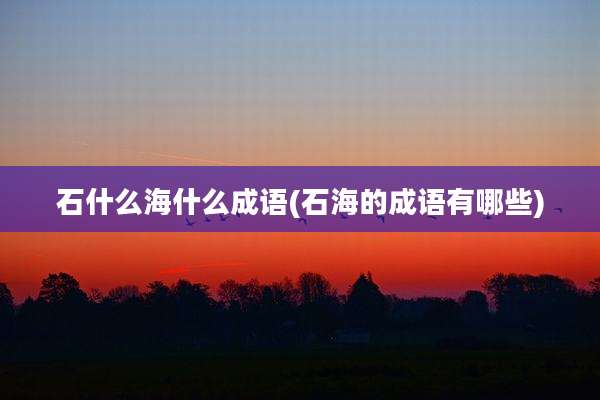 石什么海什么成语(石海的成语有哪些)