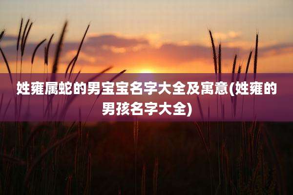 姓雍属蛇的男宝宝名字大全及寓意(姓雍的男孩名字大全)
