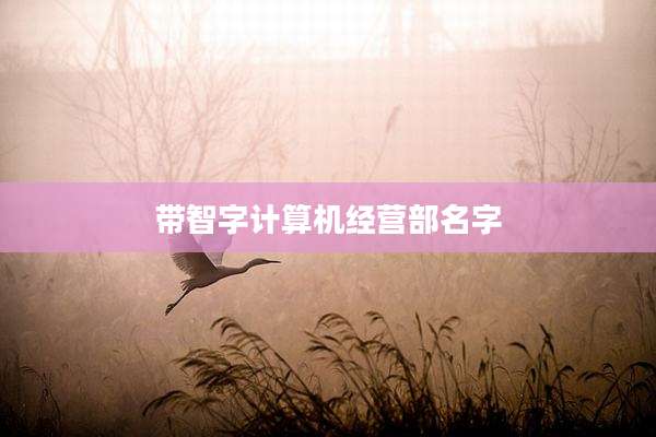 带智字计算机经营部名字