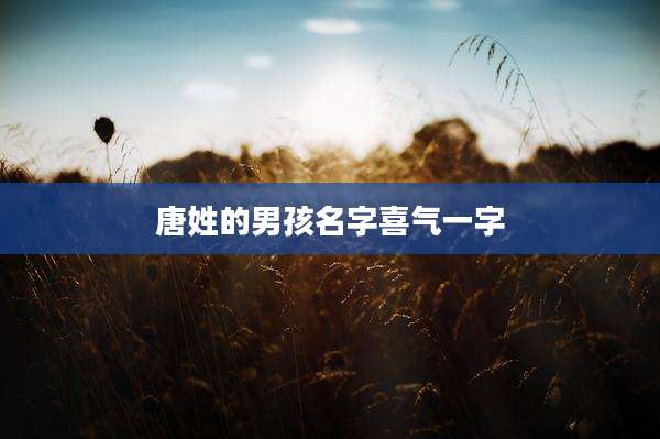 唐姓的男孩名字喜气一字