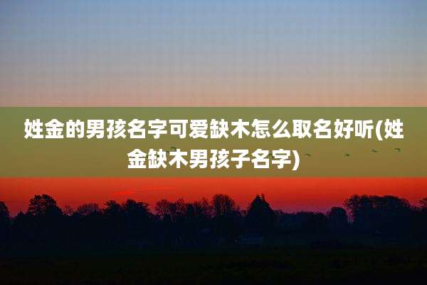 姓金的男孩名字可爱缺木怎么取名好听(姓金缺木男孩子名字)
