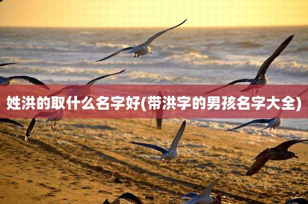 姓洪的取什么名字好(带洪字的男孩名字大全)