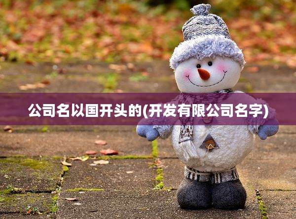 公司名以国开头的(开发有限公司名字)