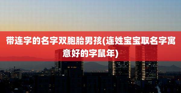 带连字的名字双胞胎男孩(连姓宝宝取名字寓意好的字鼠年)