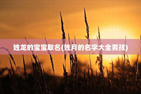 姓龙的宝宝取名(姓月的名字大全男孩)