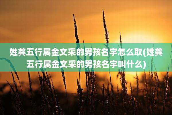 姓龚五行属金文采的男孩名字怎么取(姓龚五行属金文采的男孩名字叫什么)