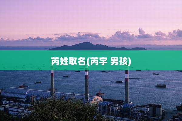 芮姓取名(芮字 男孩)