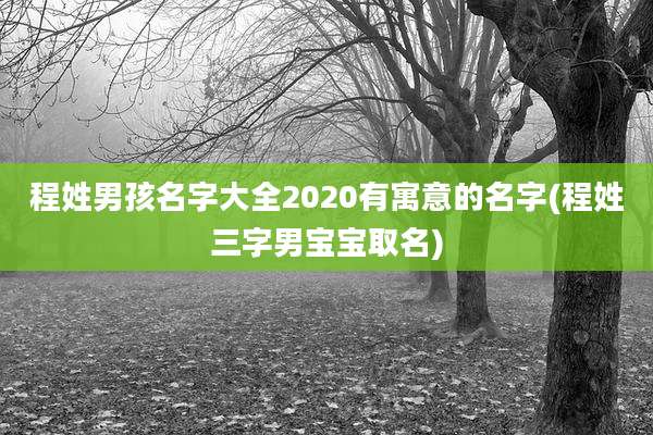 程姓男孩名字大全2020有寓意的名字(程姓三字男宝宝取名)