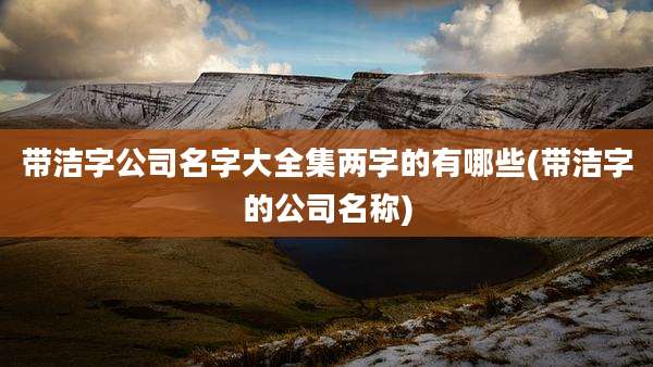 带洁字公司名字大全集两字的有哪些(带洁字的公司名称)