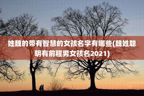 姓魏的带有智慧的女孩名字有哪些(魏姓聪明有前程男女孩名2021)