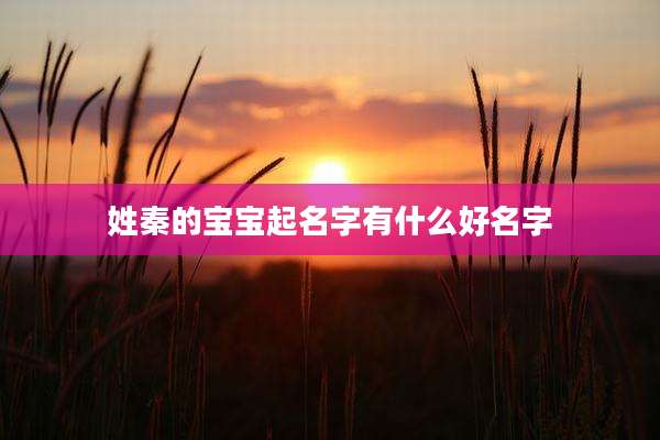 姓秦的宝宝起名字有什么好名字