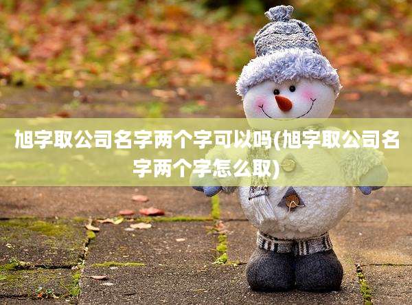 旭字取公司名字两个字可以吗(旭字取公司名字两个字怎么取)