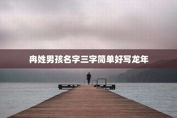 冉姓男孩名字三字简单好写龙年