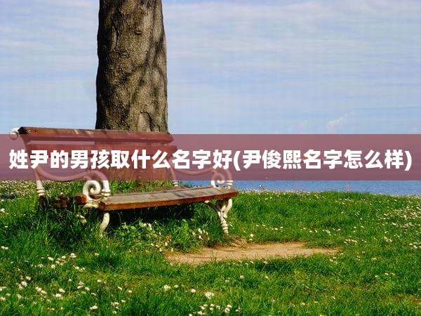姓尹的男孩取什么名字好(尹俊熙名字怎么样)