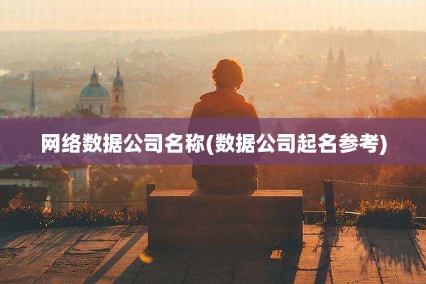 网络数据公司名称(数据公司起名参考)