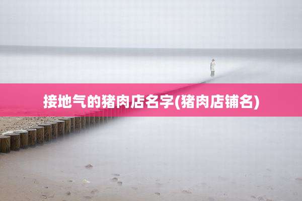接地气的猪肉店名字(猪肉店铺名)