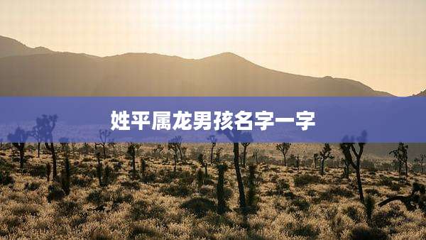 姓平属龙男孩名字一字