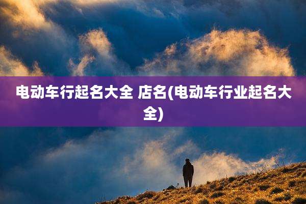 电动车行起名大全 店名(电动车行业起名大全)