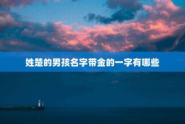 姓楚的男孩名字带金的一字有哪些