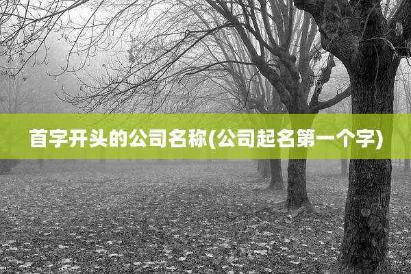 首字开头的公司名称(公司起名第一个字)