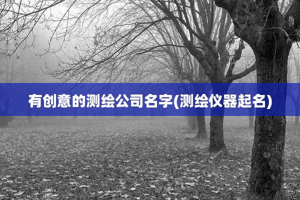 有创意的测绘公司名字(测绘仪器起名)