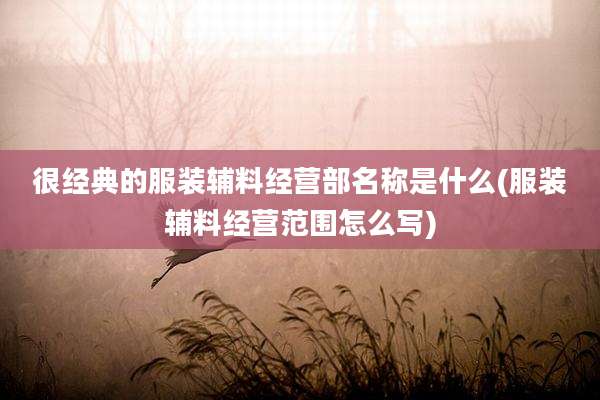 很经典的服装辅料经营部名称是什么(服装辅料经营范围怎么写)