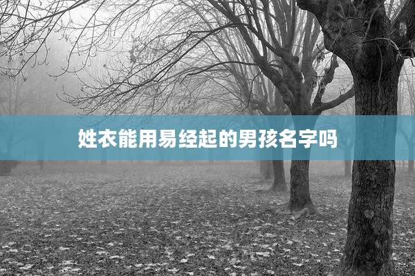 姓衣能用易经起的男孩名字吗