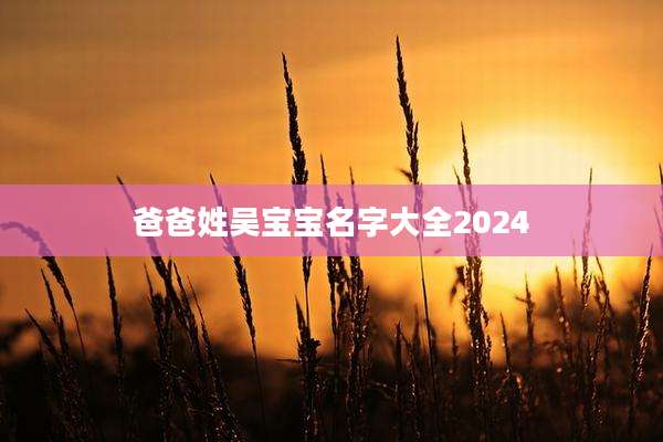爸爸姓吴宝宝名字大全2024