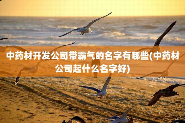 中药材开发公司带霸气的名字有哪些(中药材公司起什么名字好)