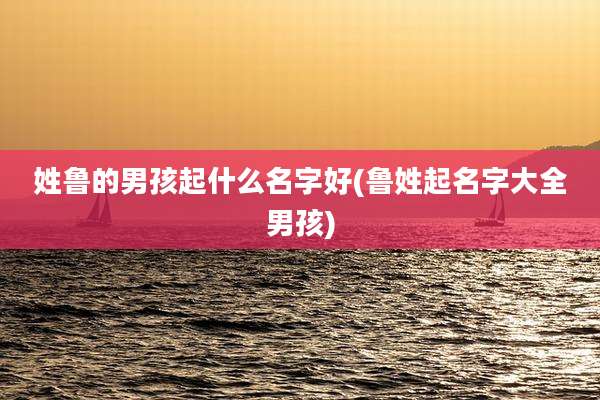 姓鲁的男孩起什么名字好(鲁姓起名字大全男孩)