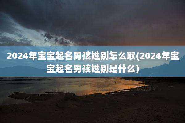 2024年宝宝起名男孩姓别怎么取(2024年宝宝起名男孩姓别是什么)
