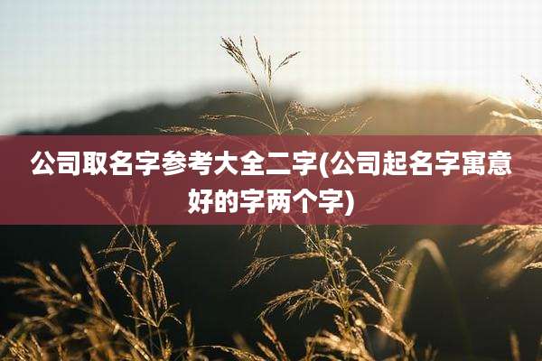 公司取名字参考大全二字(公司起名字寓意好的字两个字)