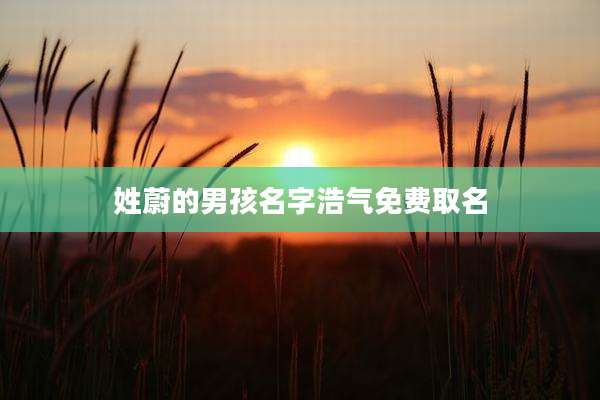 姓蔚的男孩名字浩气免费取名