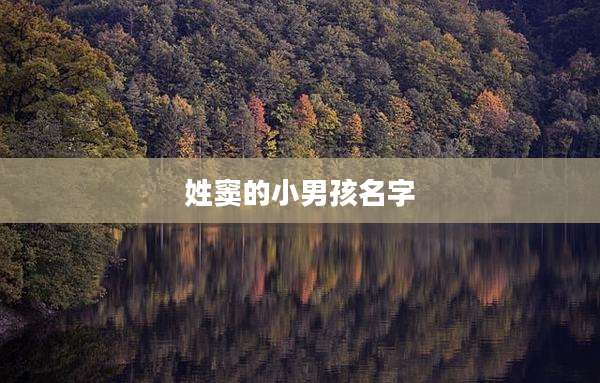 姓窦的小男孩名字