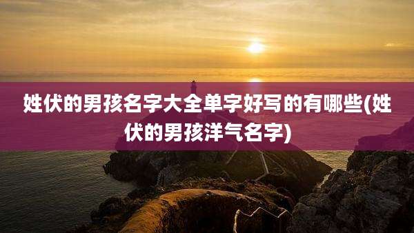 姓伏的男孩名字大全单字好写的有哪些(姓伏的男孩洋气名字)