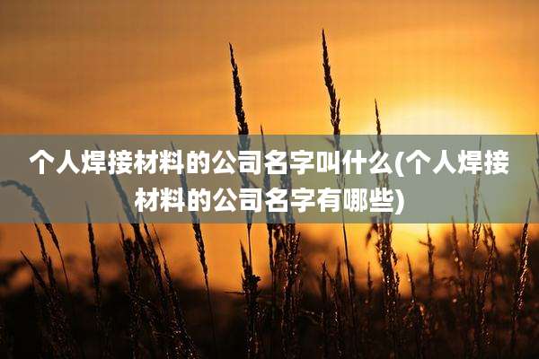 个人焊接材料的公司名字叫什么(个人焊接材料的公司名字有哪些)