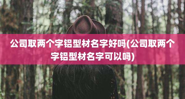 公司取两个字铝型材名字好吗(公司取两个字铝型材名字可以吗)