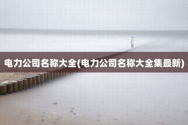 电力公司名称大全(电力公司名称大全集最新)