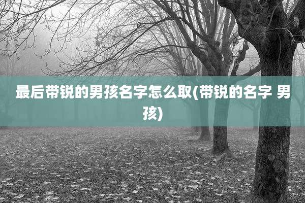 最后带锐的男孩名字怎么取(带锐的名字 男孩)