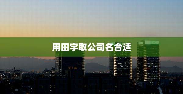 用田字取公司名合适