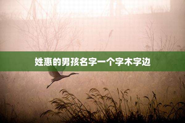 姓惠的男孩名字一个字木字边