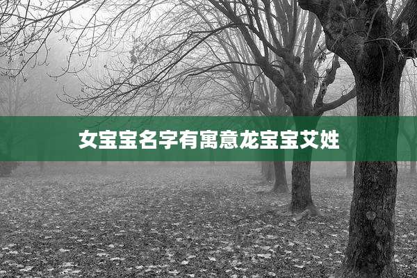 女宝宝名字有寓意龙宝宝艾姓