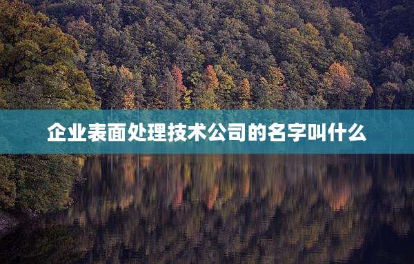 企业表面处理技术公司的名字叫什么
