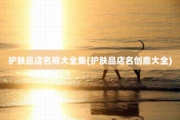 护肤品店名称大全集(护肤品店名创意大全)