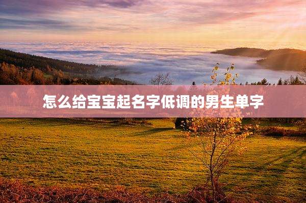 怎么给宝宝起名字低调的男生单字